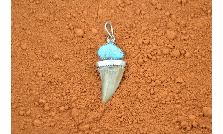 Turquoise and shark tooth pendant