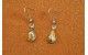 Boucles d'oreilles spiny oyster