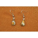 Boucles d'oreilles spiny oyster