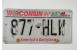 Washington state centennial license plate year 1999