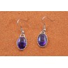 Purple paua shell earrings
