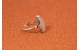 Lightning Ridge opal ring