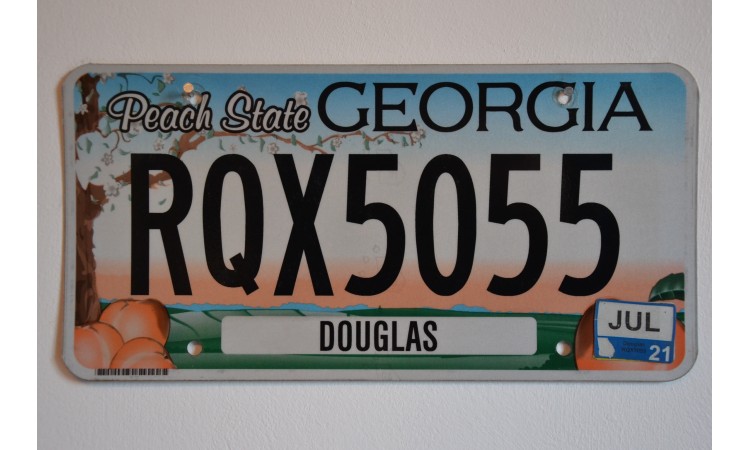 Georgia license plate year 2008
