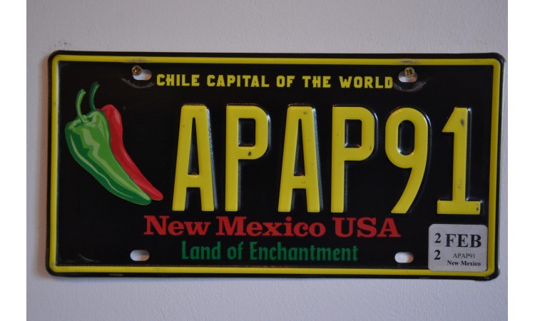 2018 New Mexico Zia sun license plate