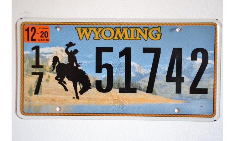 Année 2020 Wyoming