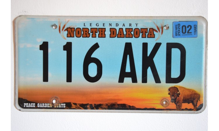 New York state license plate