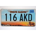 New York state license plate