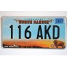 New York state license plate