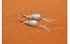 Boucles d'oreilles larimar