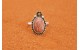 Bague rhodochrosite