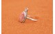 Rhodochrosite Ring