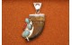 Pendentif griffe d'ours