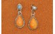 Boucles d'oreilles spiny oyster