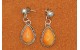 Boucles d'oreilles spiny oyster