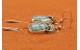 Number 8 turquoise Earrings