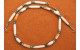 Turquoise spiny oyster and bones necklace