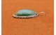 Emerald Valley turquoise Pendant