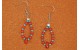 Turquoise and coral Earrings
