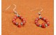 Turquoise and coral Earrings