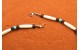 Bear claw Necklace