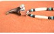 Bear claw Necklace