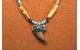 Wolf claw Necklace