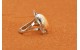 Bague fleur spiny oyster