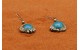 Kingman turquoise Earrings