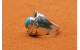 Thunderbird and turquoise Ring