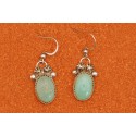Royston turquoise Earrings