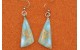 Ocean Jasper Earrings